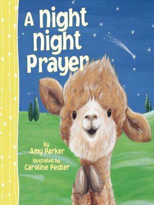 cover image of A Night Night Prayer